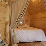 Dans Un Jardin Arboré